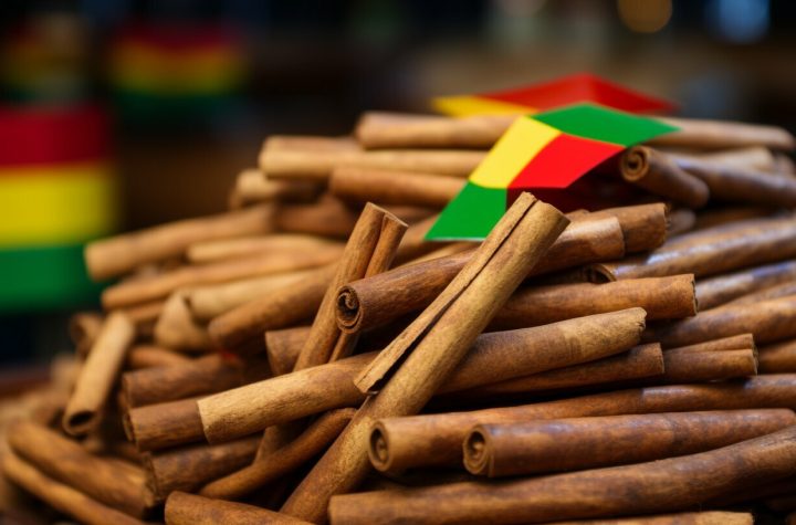 cinnamon prices in sri lanka
